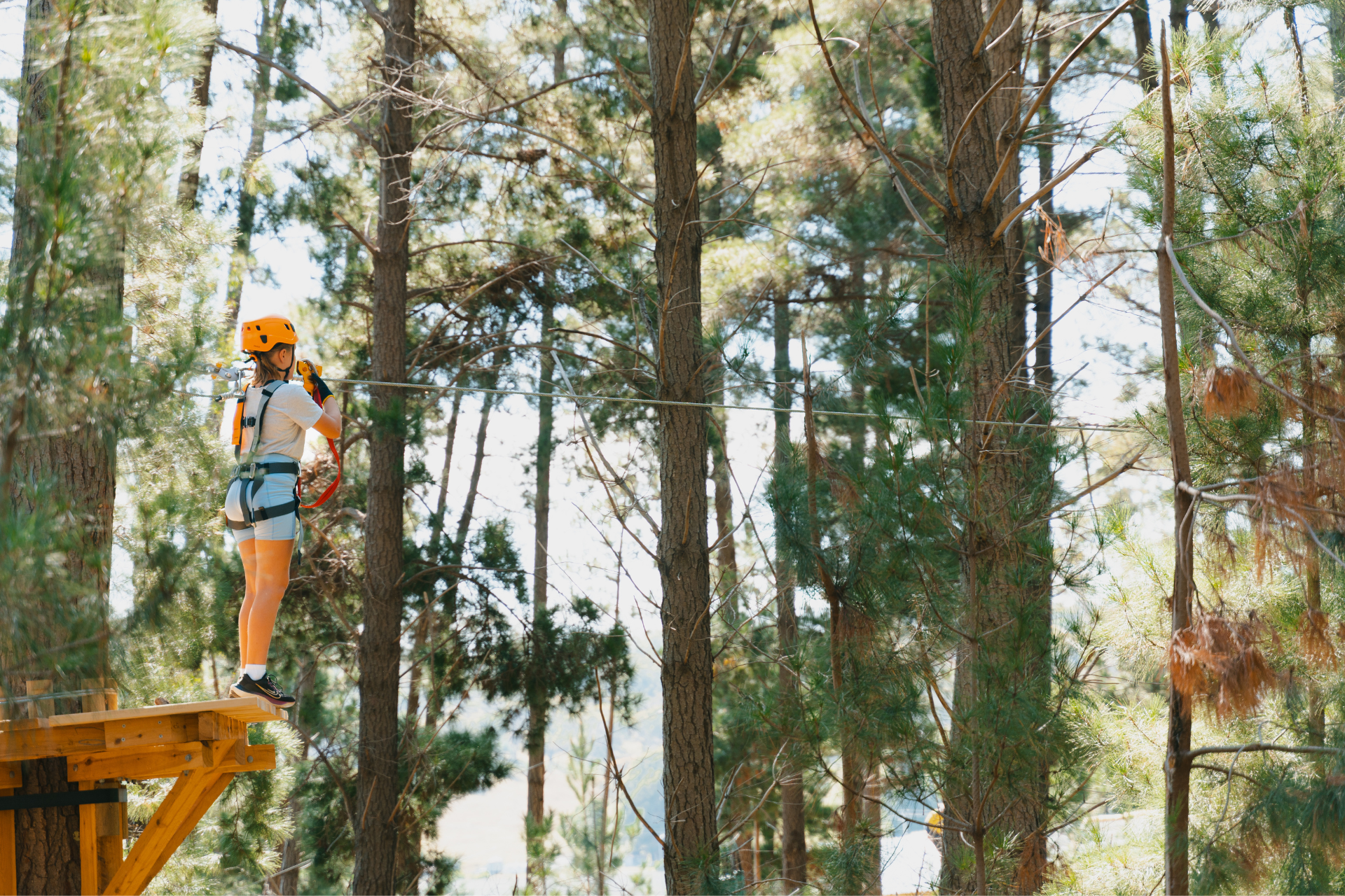 New Treetops Adventure park opens in Canberra